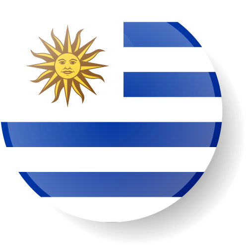 ban paraguay