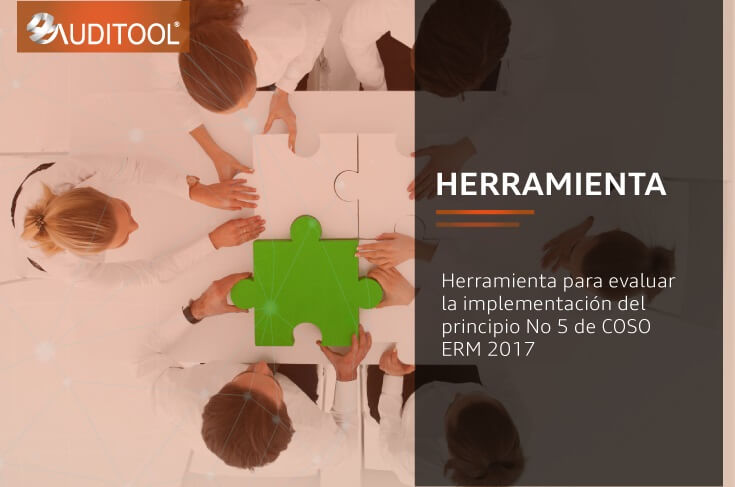 Herramienta para evaluar la implementación del principio No 5 de COSO ERM 2017