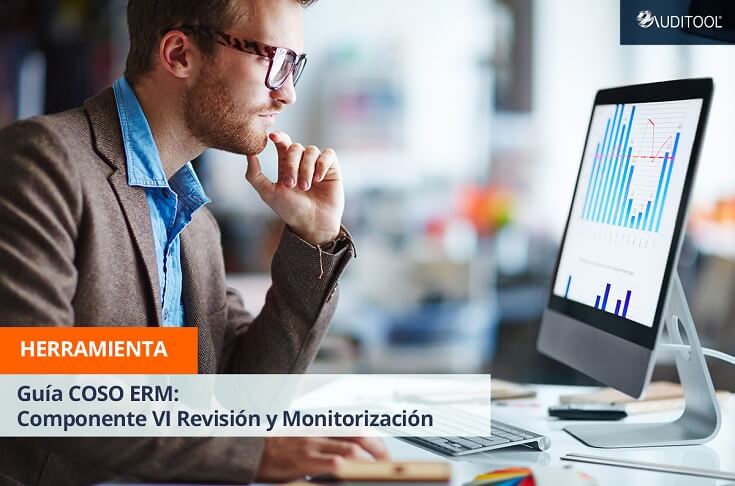 Guía COSO ERM: Componente IV Revisión y Monitorización