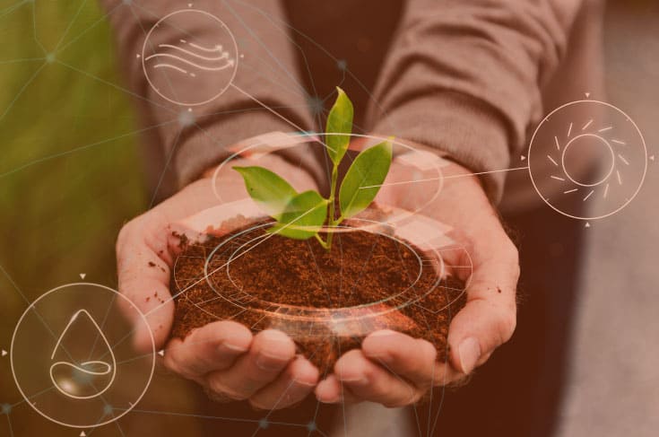 Buenas prácticas de sostenibilidad medioambiental en las organizaciones