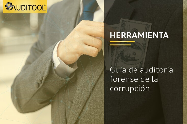 Guía de auditoría forense de la corrupción