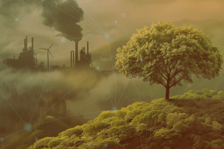 Buenas prácticas para evitar el greenwashing
