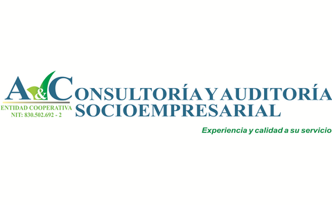 Consultoria y Auditoria Socioempresarial