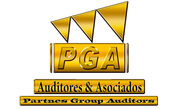 Partners Group Auditors