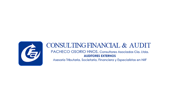 Consulting Financial & Audit, Auditores Externos